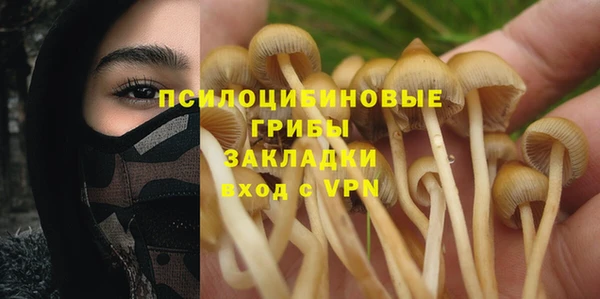дживик Зеленодольск