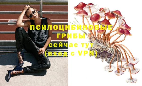 mdma Зерноград