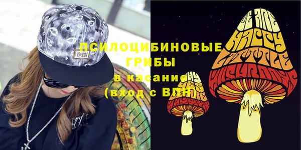дживик Зеленодольск