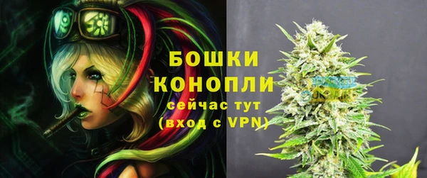 дживик Зеленодольск